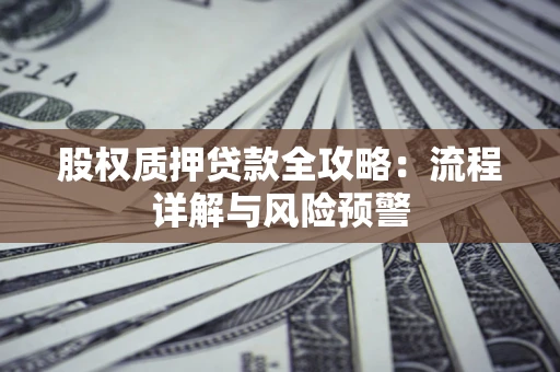 北京股权质押贷款全攻略：流程详解与风险预警