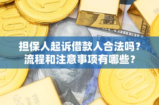 北京担保人起诉借款人合法吗？流程和注意事项有哪些？