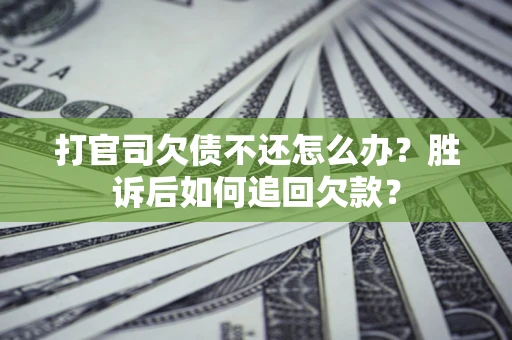 北京打官司欠债不还怎么办？胜诉后如何追回欠款？