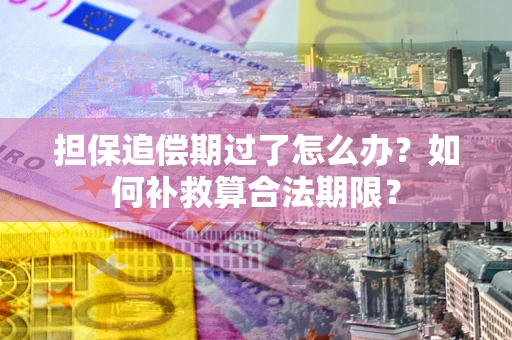 北京担保追偿期过了怎么办？如何补救算合法期限？