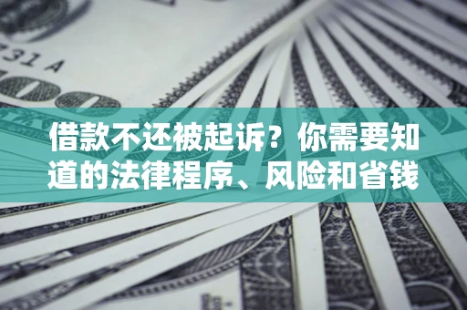 北京借款不还被起诉？你需要知道的法律程序、风险和省钱技巧